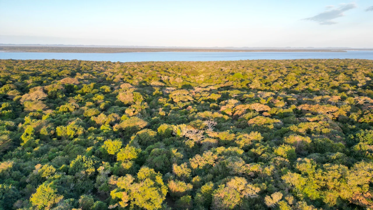 Featured image for “Hluhluwe-iMfolozi or iSimangaliso? How to Do Both From One Base”